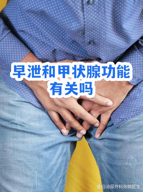 早泄和甲状腺功能有关系吗