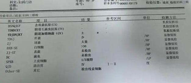 阴道分泌物培养能查出什么