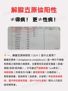 解脲支原体阳性需要治疗吗?先别慌,关键看这几点-两性知识丨两性健康--你想了解的我都知道