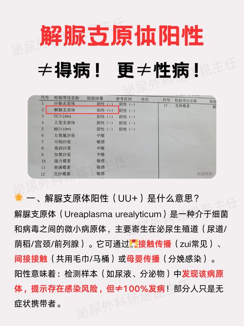 解脲支原体阳性需要治疗吗