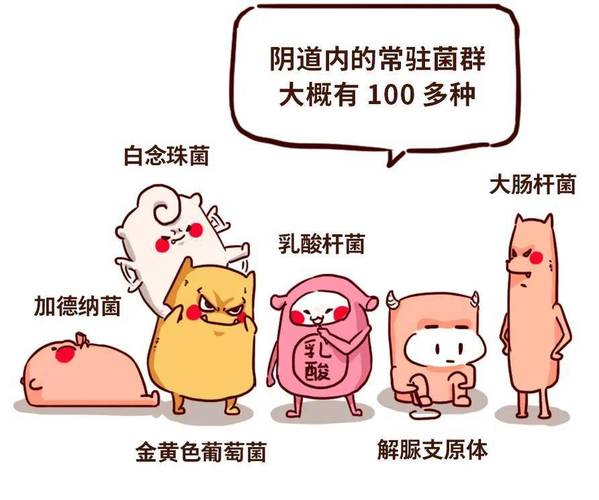 阴道菌群失衡和性传播有关吗