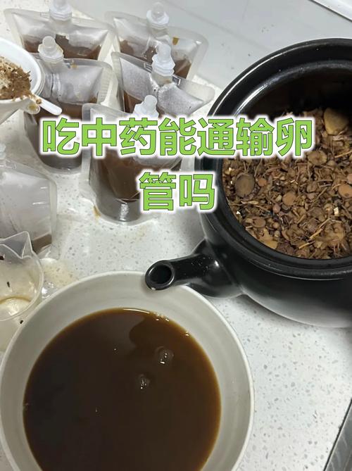 备孕期间能吃中药调理吗