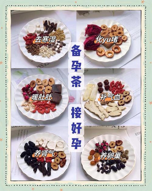 备孕期间能吃中药调理吗