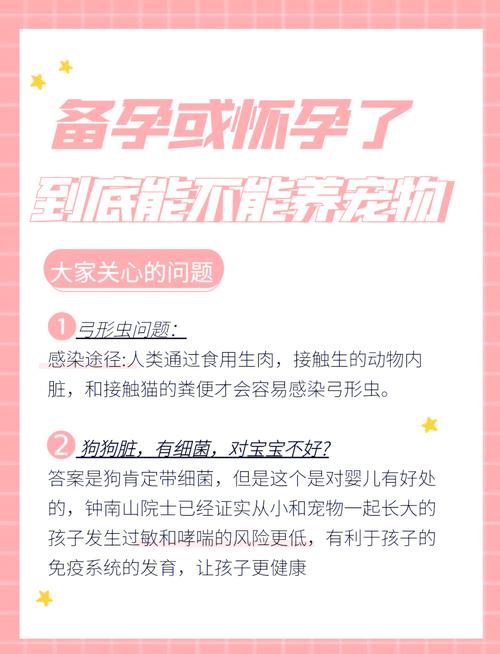 备孕期间能养宠物吗