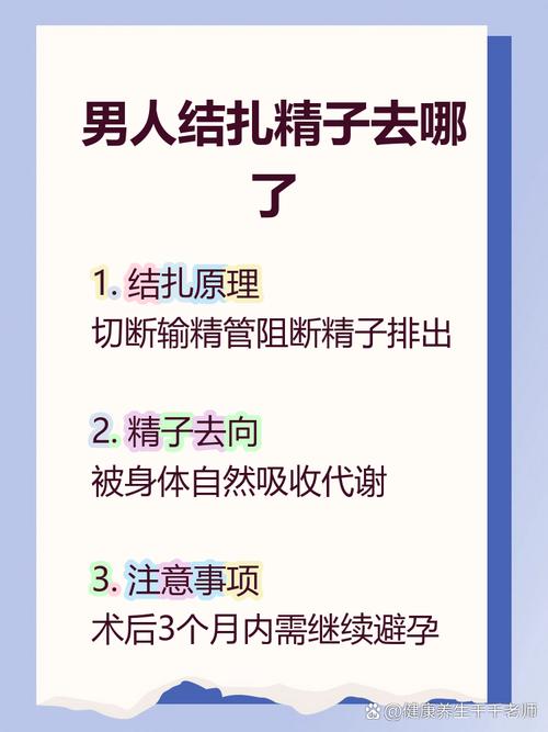 男性结扎后精子去哪里了