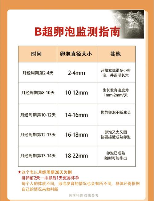 多囊促排要监测几次卵泡