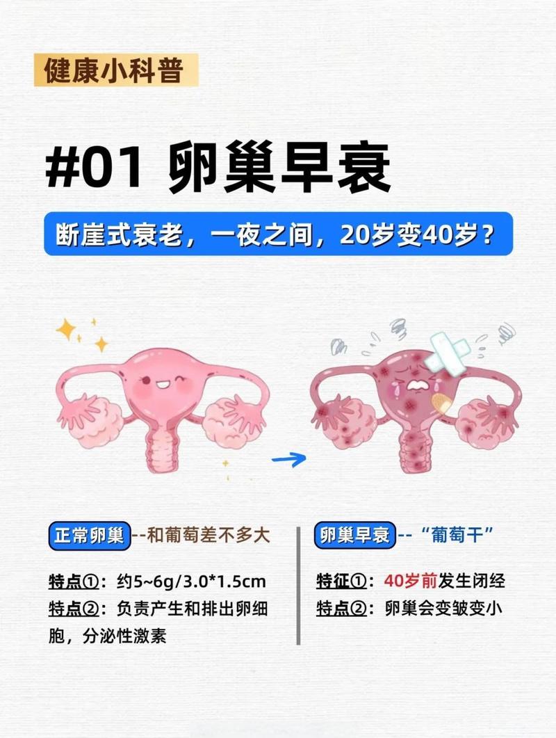 卵巢早衰会影响心血管健康吗