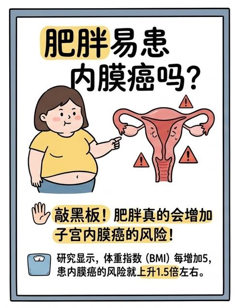子宫内膜癌和肥胖有关系吗