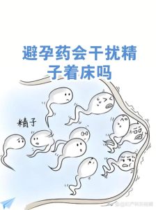 男性避孕药会影响精子多久-两性知识丨两性健康--你想了解的我都知道