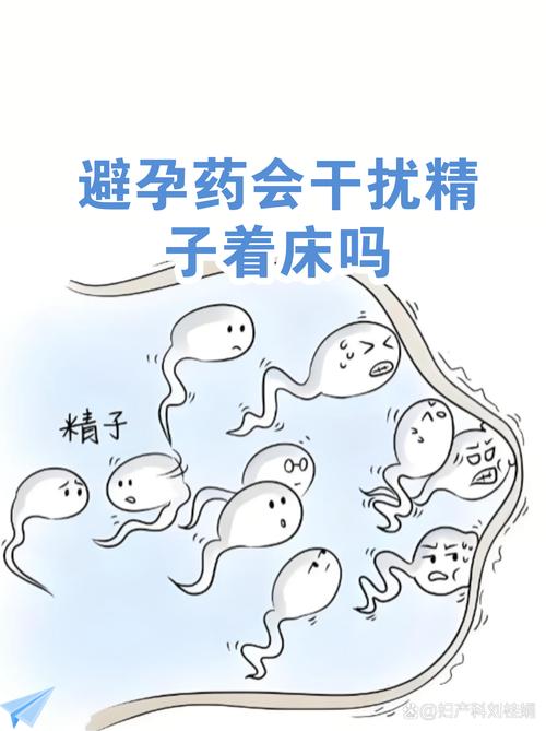 男性避孕药会影响精子多久
