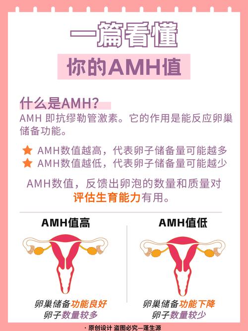 AMH低说明卵巢早衰吗