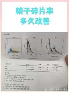 精子碎片率复查间隔多久合适?一文说清别白跑医院-两性知识丨两性健康--你想了解的我都知道