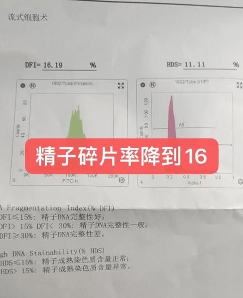 精子碎片率会随年龄升高吗