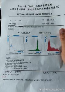 精子碎片率真的会随着年龄升高吗？备孕男性该关注哪些指标？-两性知识丨两性健康--你想了解的我都知道