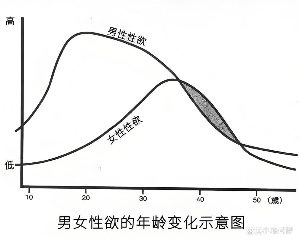 男女性欲模式有什么不同