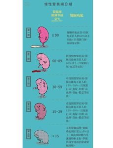 性欲低和慢性肾病有关吗-两性知识丨两性健康--你想了解的我都知道