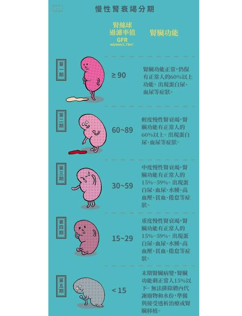 性欲低和慢性肾病有关吗