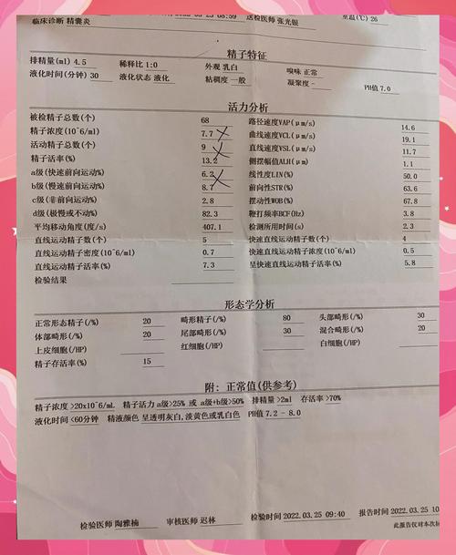 精子浓度低于多少算少精