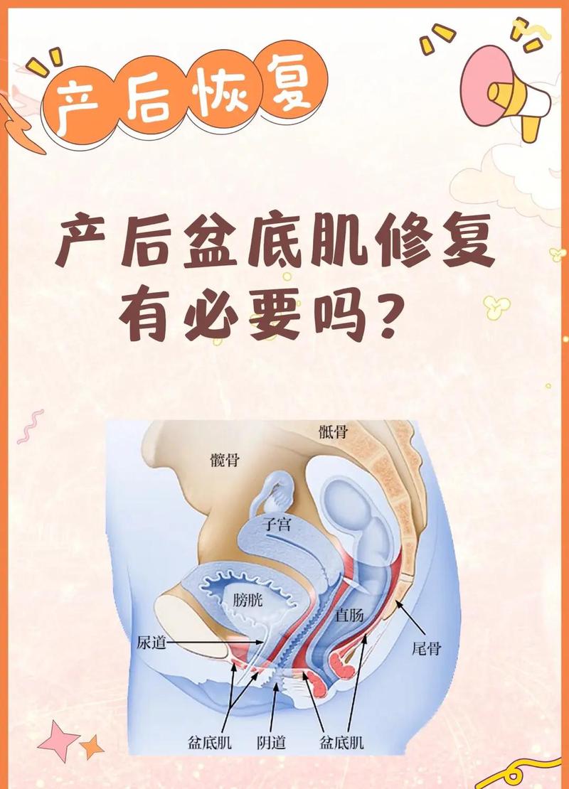 产后盆底康复能改善性欲吗
