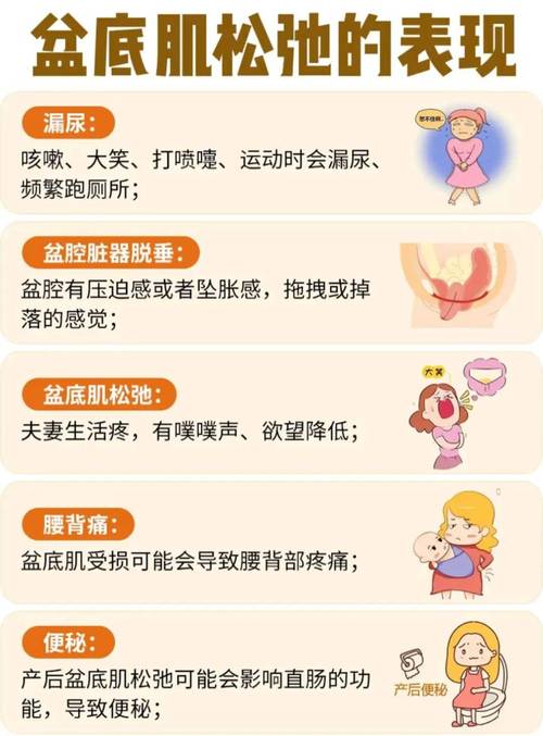 阴道松弛和盆底有关吗