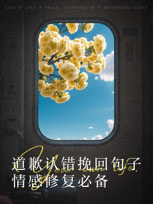 说对不起真的能修复感情吗