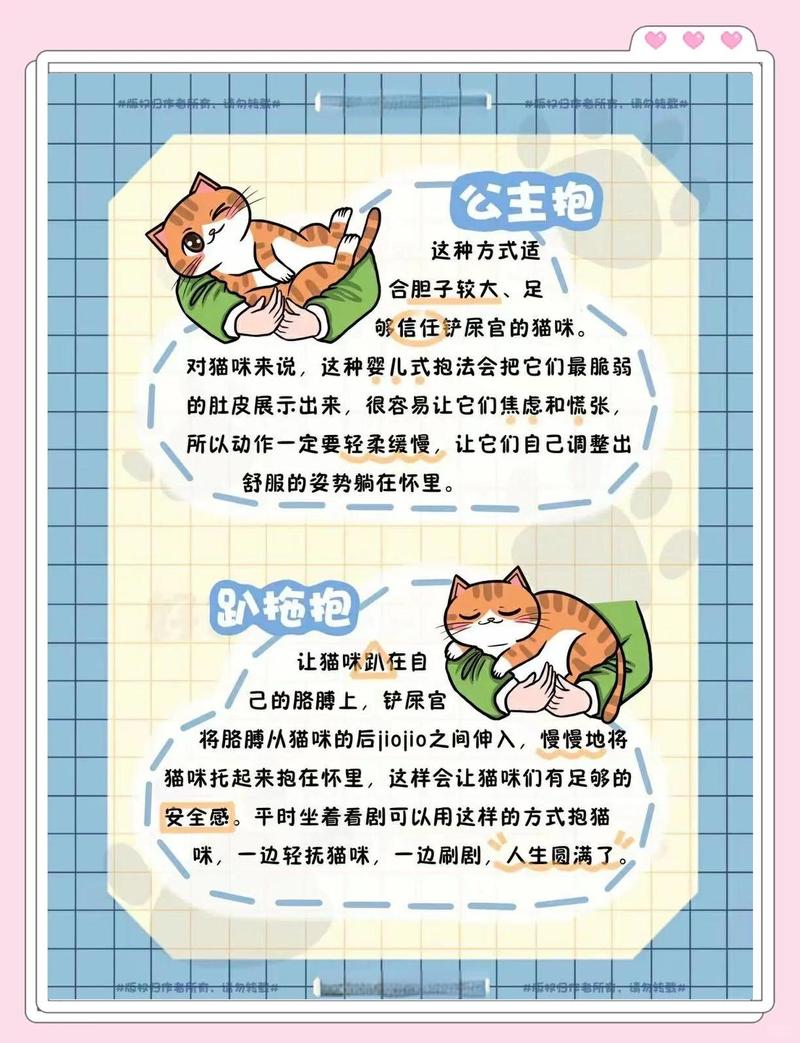 情侣一起养宠物要注意什么