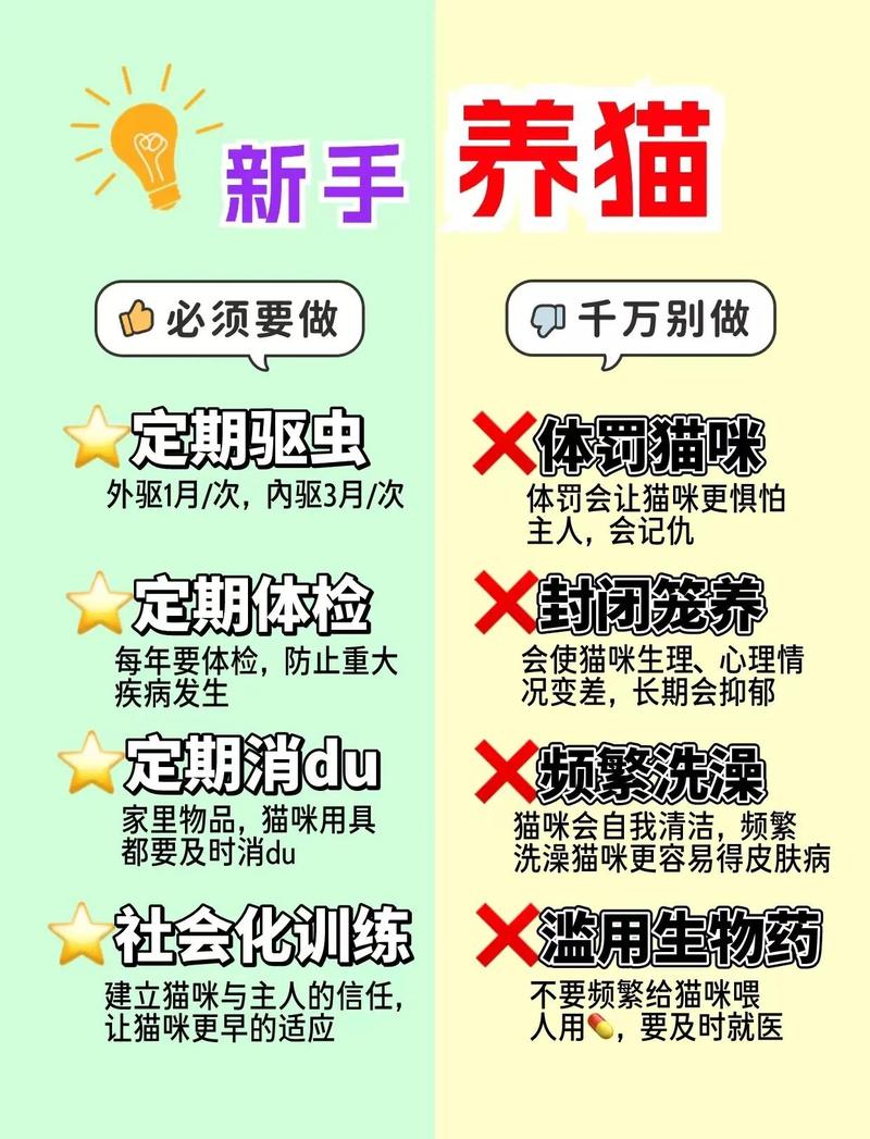 情侣一起养宠物要注意什么
