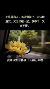 伴侣嘴上说没关系,你为何还放不下?-两性知识丨两性健康--你想了解的我都知道