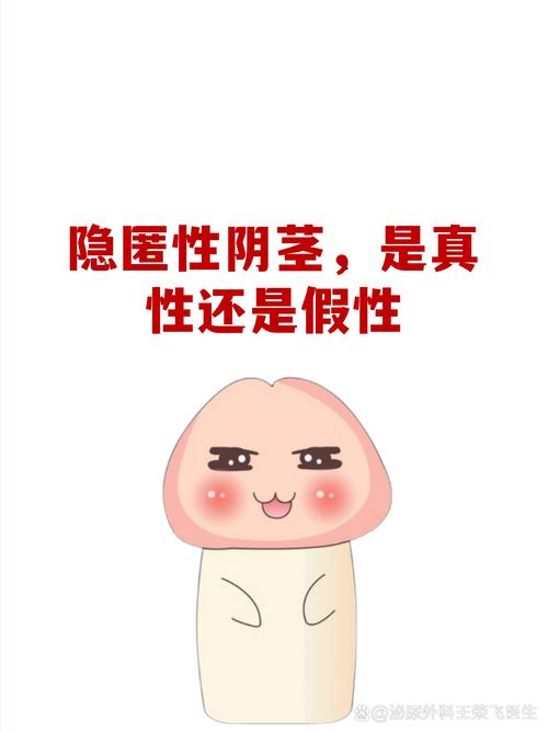 隐匿性阴茎和真性短小,家长如何区分
