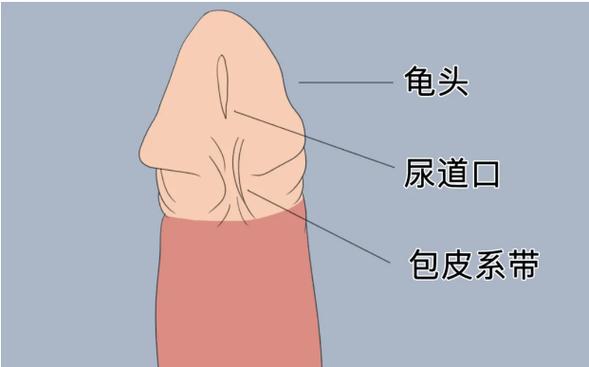 长期自慰会导致勃起障碍吗