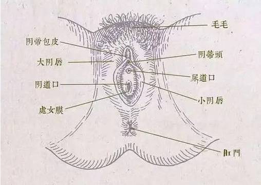 阴道干涩会让人性欲下降吗