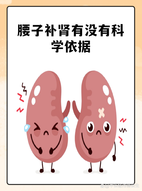 吃腰子"以形补形",有科学依据吗