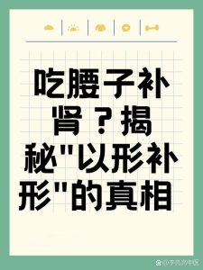吃腰子真的能“以形补形”吗?科学告诉你真相-两性知识丨两性健康--你想了解的我都知道