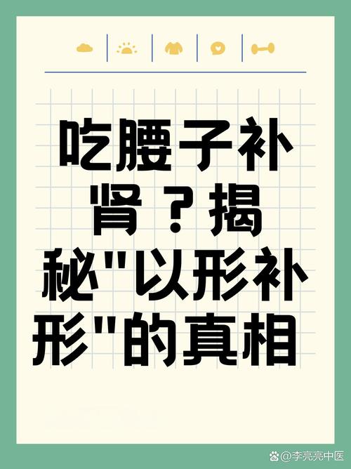 吃腰子"以形补形",有科学依据吗