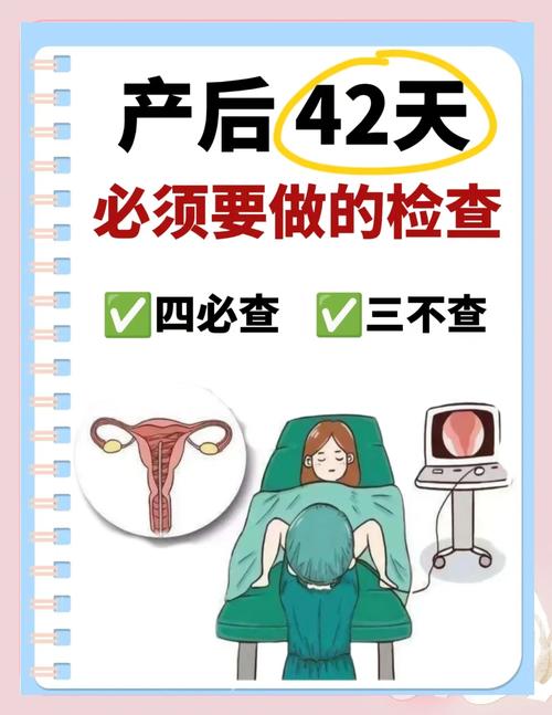 产后盆底超声多久复查一次