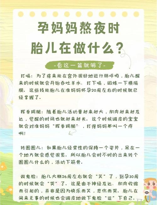 熬夜会导致胚胎停育吗