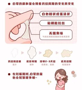 阴道分泌物突然变多，是排卵期来了吗？-两性知识丨两性健康--你想了解的我都知道