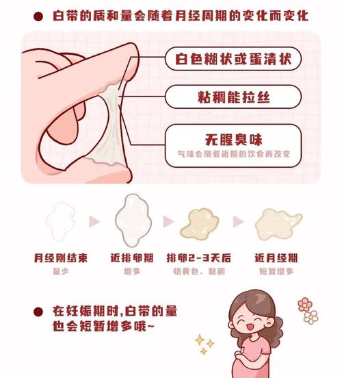 阴道分泌物增多是排卵期表现吗