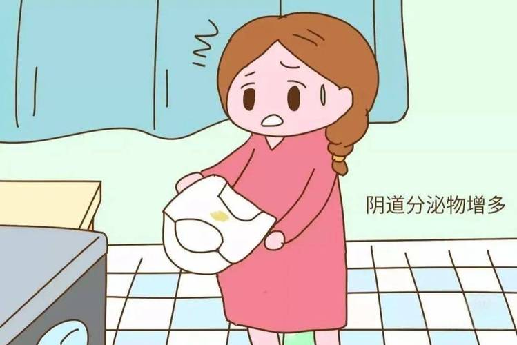 阴道分泌物增多是排卵期表现吗