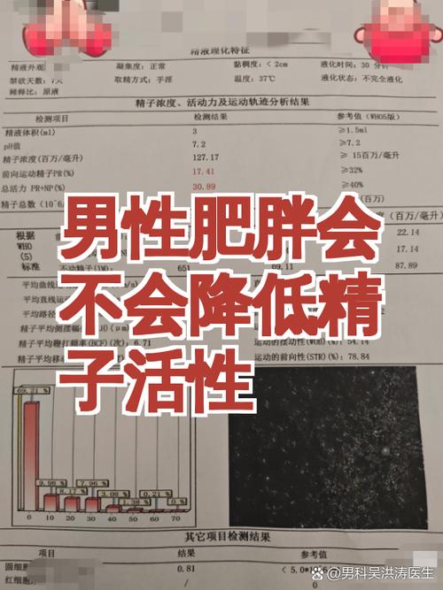 肥胖男性精子质量会下降吗
