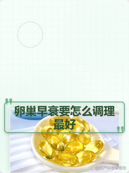 卵巢功能减退要补蛋白质吗