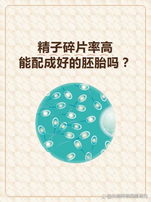 碎片率高能做人工授精吗
