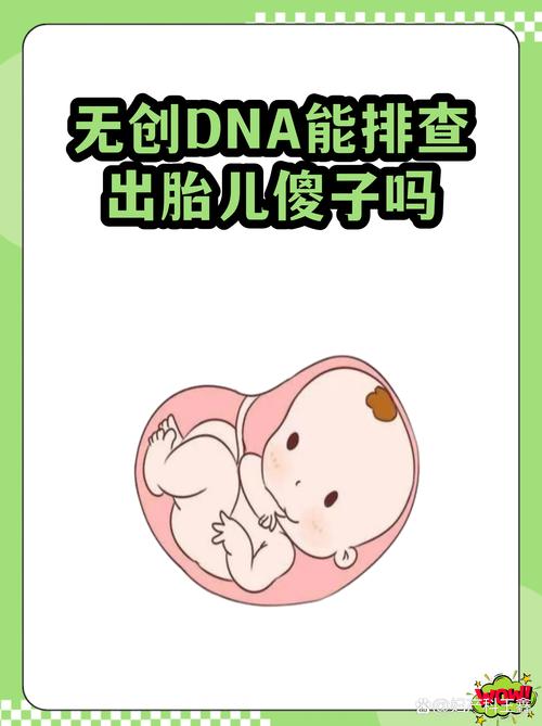 无创DNA能查出所有畸形吗