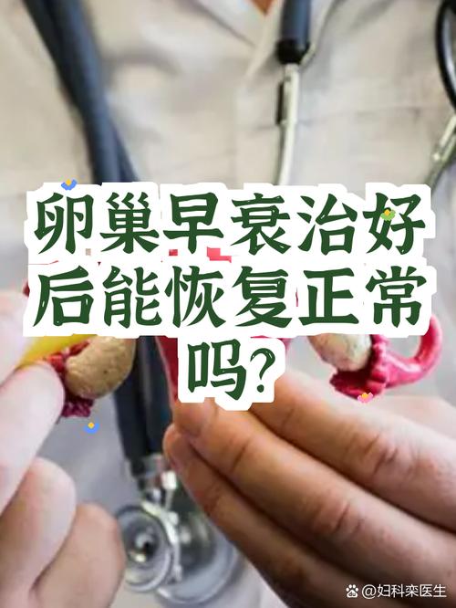 卵巢移植后月经能回来吗