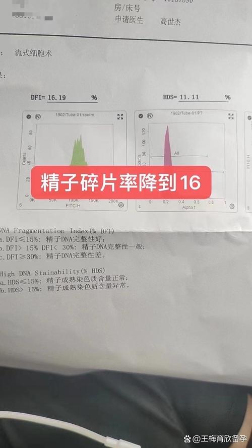 碎片率偏高还能自己怀吗-示意图