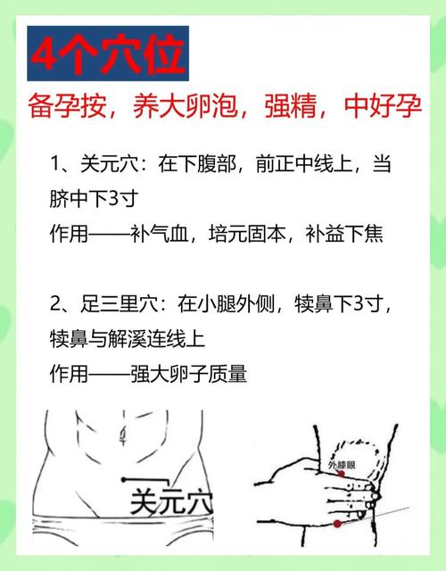 中医调理备孕有用吗