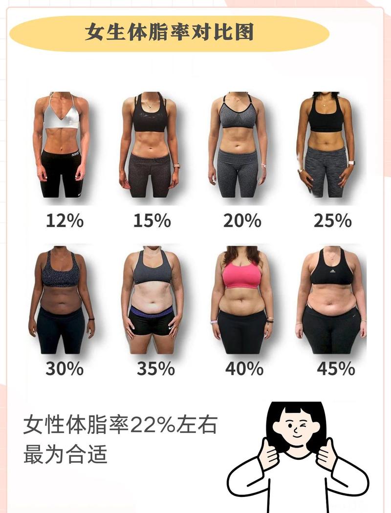 体脂率多少利于受孕