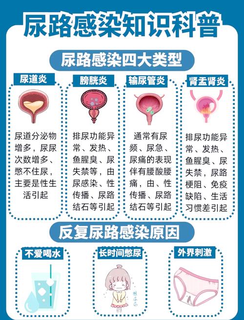 反复尿路感染会降低性欲吗