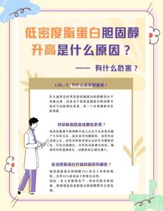 胆固醇过低会影响性欲吗-两性知识丨两性健康--你想了解的我都知道