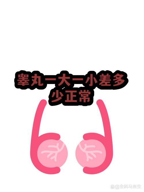 两侧睾丸大小差多少算正常